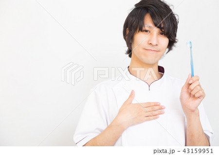 歯科医 歯科医 43159951