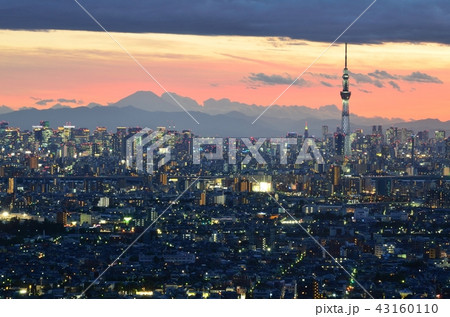 アイ・リンクタウンから見た東京夜景 アイ・リンクタウンから見た東京夜景 43160110