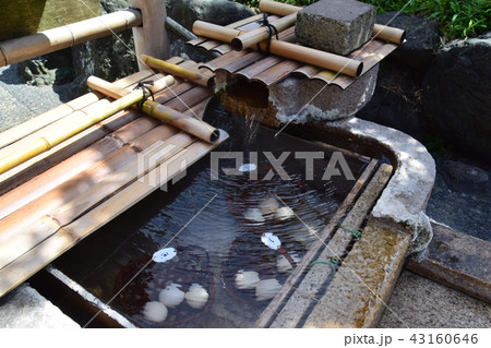 山中温泉菊の湯　温泉卵 43160646