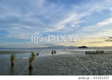 奥琵琶湖・湖北水鳥公園の夕景と竹生島 奥琵琶湖・湖北水鳥公園の夕景と竹生島 43161207