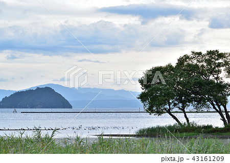 奥琵琶湖・湖北水鳥公園の夕景 43161209