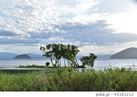 奥琵琶湖・湖北水鳥公園の夕景 奥琵琶湖・湖北水鳥公園の夕景 43161212