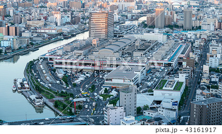 早朝の大阪市中央卸売市場 43161917