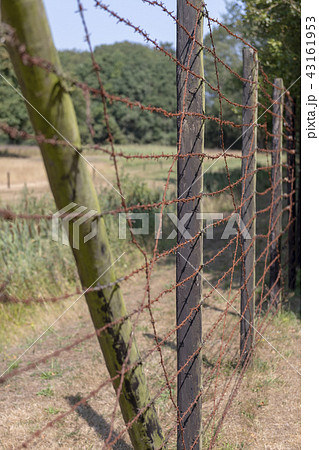 High fence with barbed wire. High fence with barbed wire. 43161953