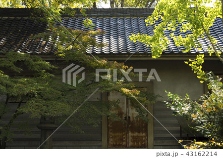 公園 パーク 園 43162214