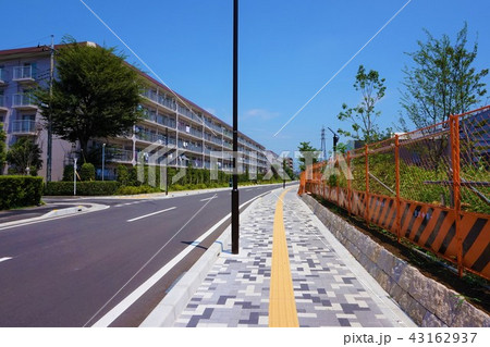 道路 車道 歩道 点字ブロック 外灯 街並み の写真素材