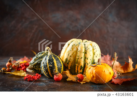 Small pumpkins decorative 43163601