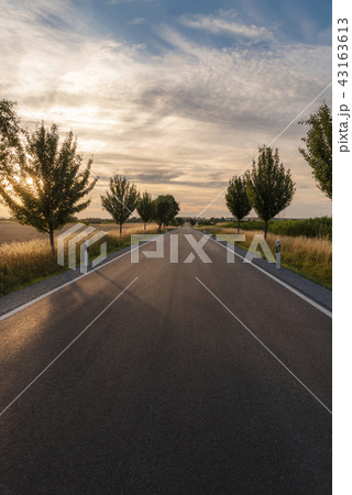 Endless street surrounded by trees at sunset Endless street surrounded by trees at sunset 43163613
