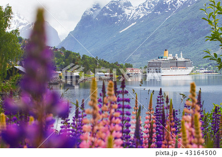 mountain landscape at the norway mountain landscape at the norway 43164500