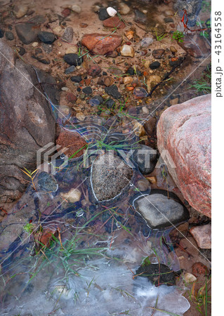 Stone in the ice on a sandy beach Stone in the ice on a sandy beach 43164558