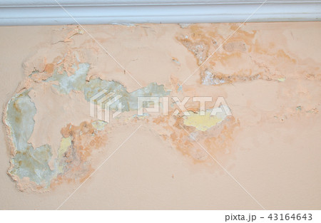 Wall damaged by moisture Wall damaged by moisture 43164643
