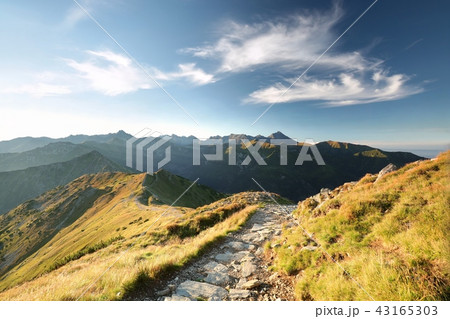 Tatra Mountains at dawn Tatra Mountains at dawn 43165303