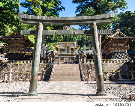 日光東照宮　唐銅鳥居と陽明門 43165752