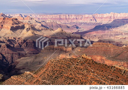 South rim of Grand Canyon South rim of Grand Canyon 43166885