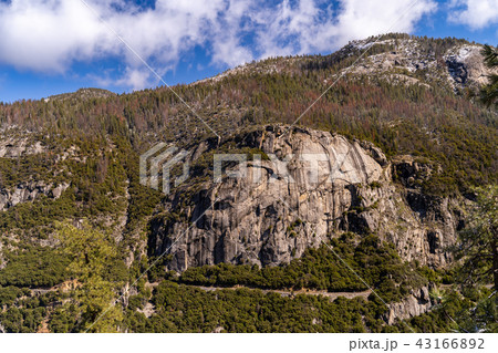 Yosemite national Park 43166892