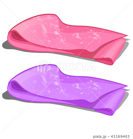 Two Pieces Of Stained Tissue Isolated On A のイラスト素材