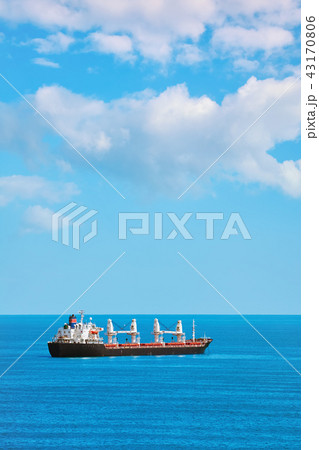 Cargo Ship in the Sea 43170806