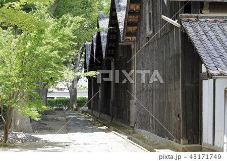 山居倉庫と欅並木 43171749