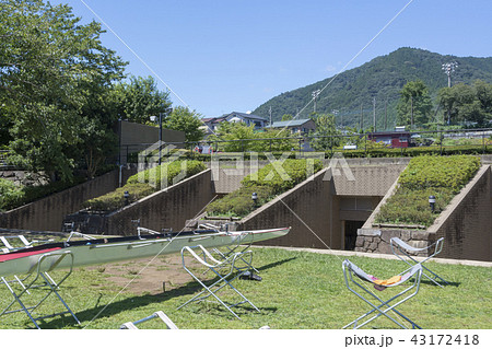 神奈川県立相模湖漕艇場　レガッタ 43172418