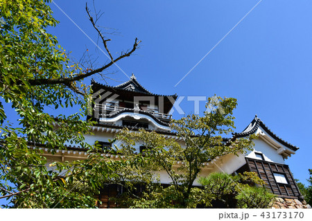国宝 犬山城 国宝 犬山城 43173170