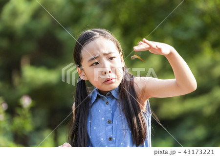 子供 女の子 女性 43173221