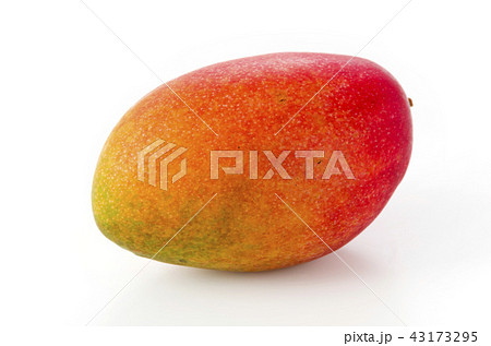 アップルマンゴー 43173295
