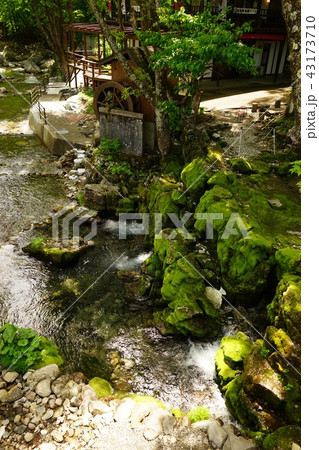 龍泉洞は苔も綺麗 龍泉洞は苔も綺麗 43173710
