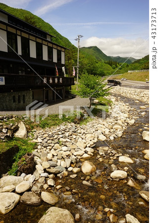 三陸ジオパーク新緑の岩泉龍泉洞 三陸ジオパーク新緑の岩泉龍泉洞 43173713