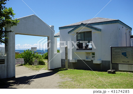 天神島臨海自然教育園 天神島臨海自然教育園 43174285