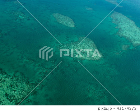 ハート形のサンゴ礁（グレート・バリア・リーフ） 43174575