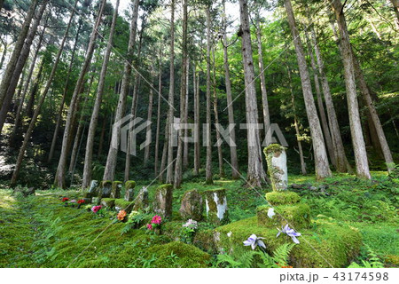 徳島海部郡海陽町の浪切不動尊の無縁仏 43174598