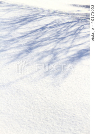 冬、雪、雪面模様、冬景色 43175052