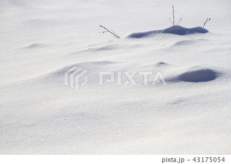 冬、雪、雪面模様、冬景色 43175054