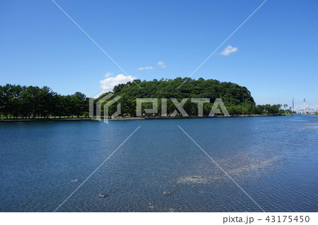 野島 野島 43175450