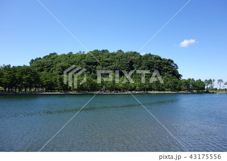 野島公園 43175556