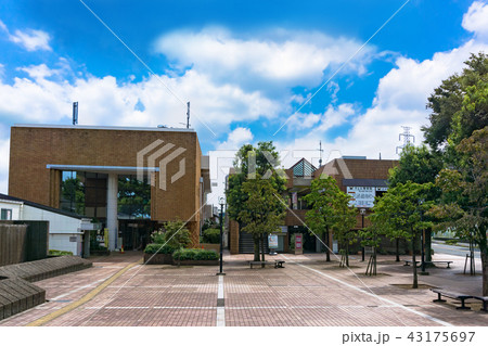 駅前風景　つくし野駅 43175697