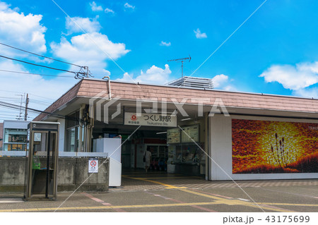 駅前風景　つくし野駅 43175699