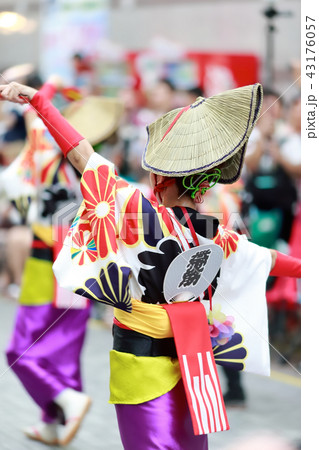 よさこい 43176057