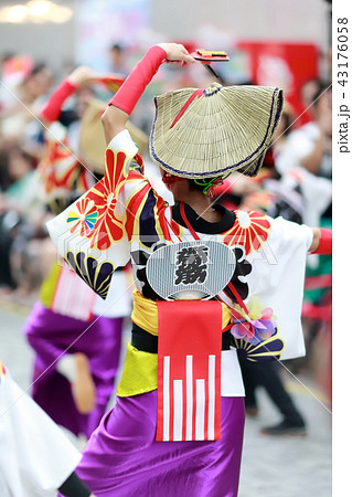 よさこい 43176058