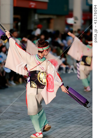 よさこい 43176094