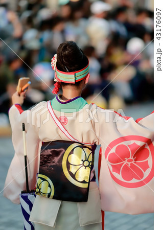 よさこい 43176097