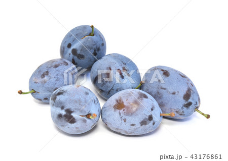プルーン（西洋すもも） 43176861