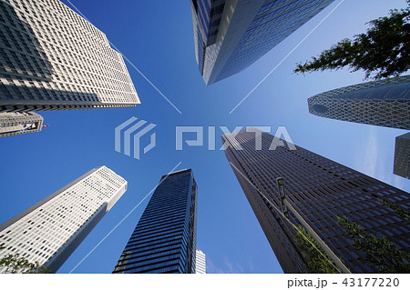 日本の東京都市景観  超高層ビル群を望む 43177220