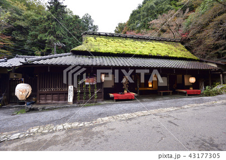 平野屋 平野屋 43177305