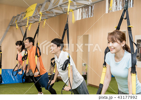 フィットネス ファンクショナルトレーナー フィットネス ファンクショナルトレーナー 43177992