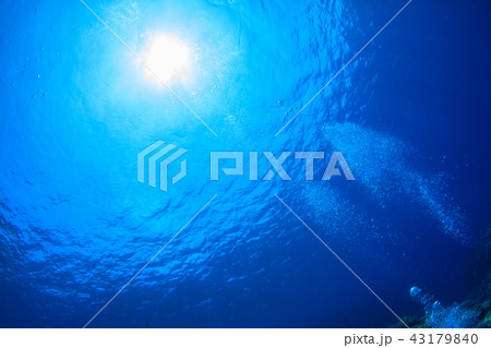 海面と泡 海面と泡 43179840