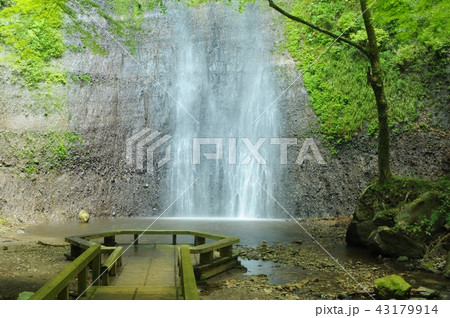 夏の清滝 夏の清滝 43179914