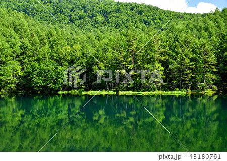 御射鹿池 御射鹿池 43180761