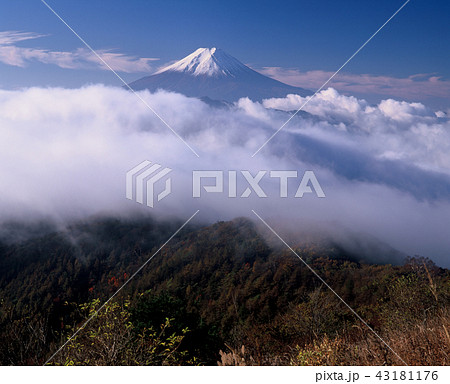 雲海の富士山 43181176