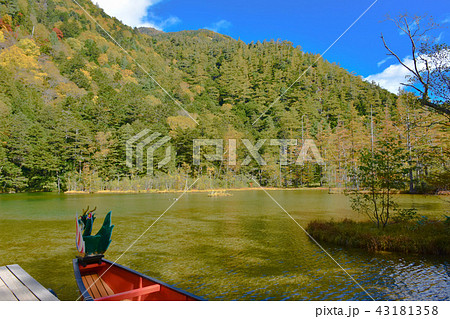 上高地　明神池一之池　紅葉 43181358